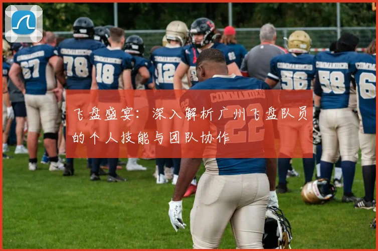 飞盘盛宴：深入解析广州飞盘队员的个人技能与团队协作